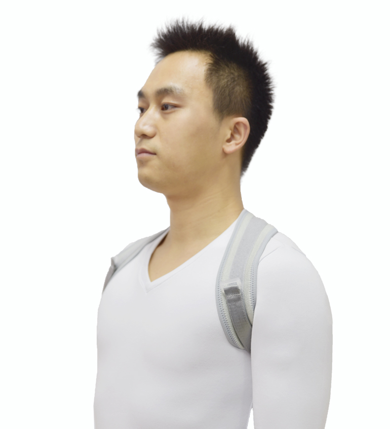 Back Support Belt-3.jpg