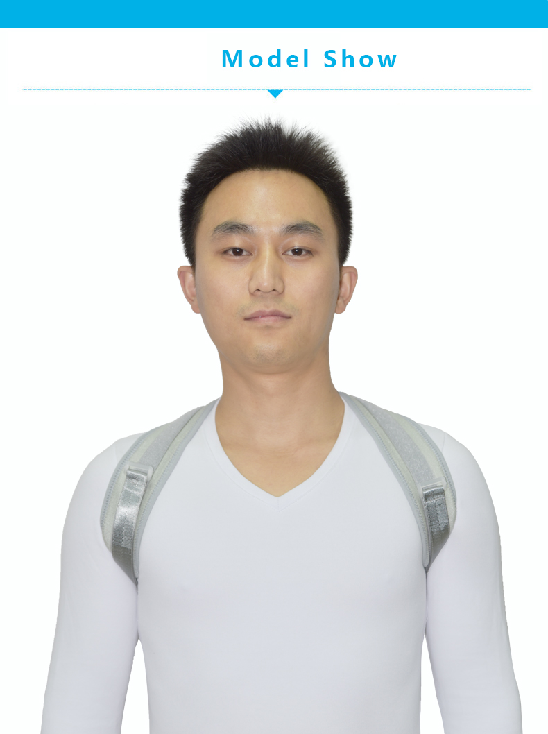 Back Support Belt-2